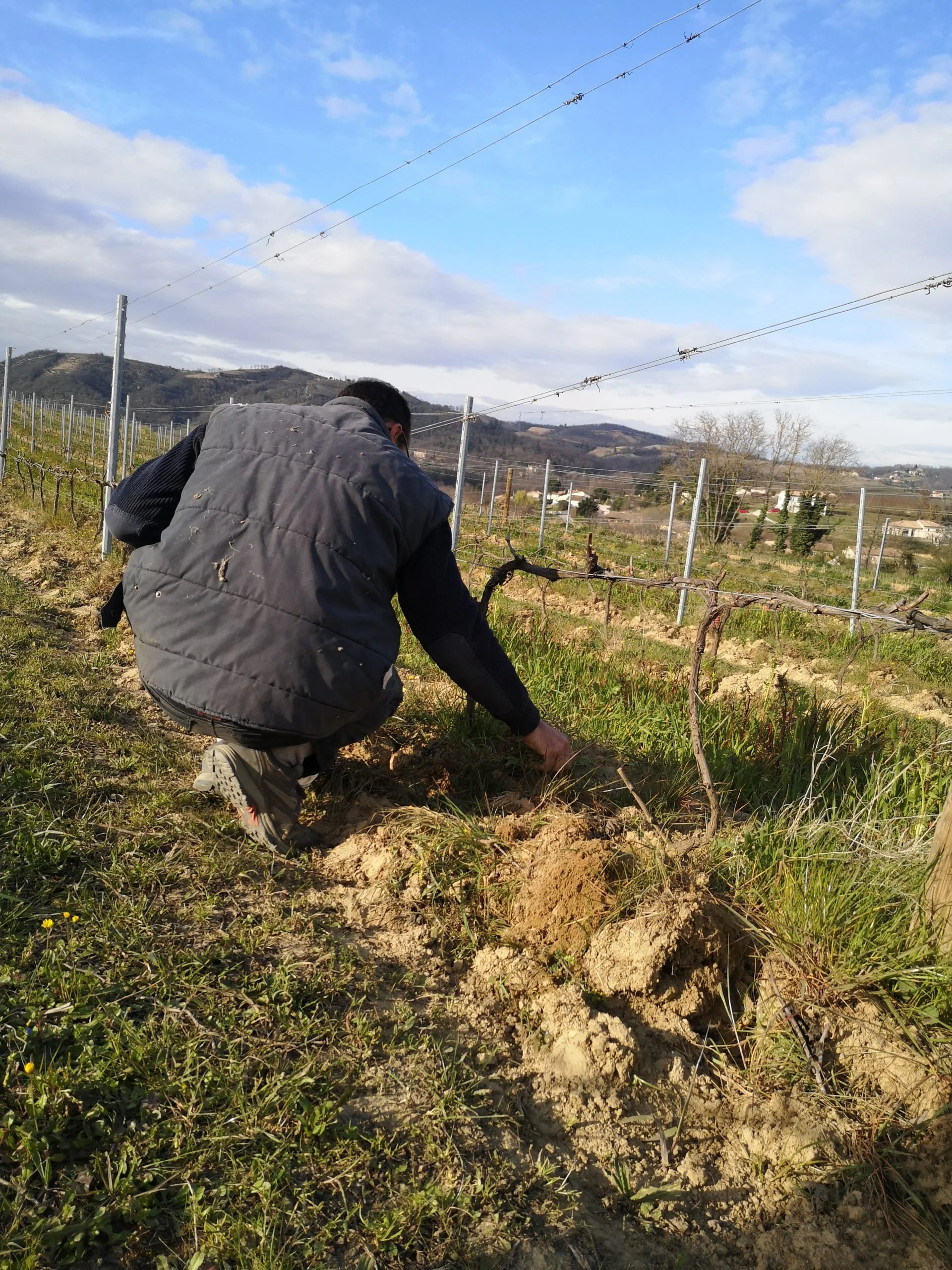 Domaine Vendome |Travail et étude des sols pour le vinification parcellaire.