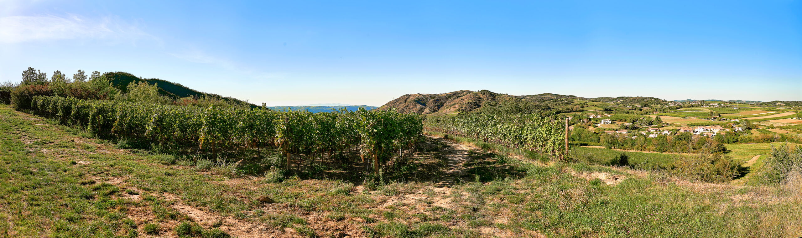 Domaine Vendome | Parcelle de vigne sur la zone d’appellation de Crozes-Hermitage.