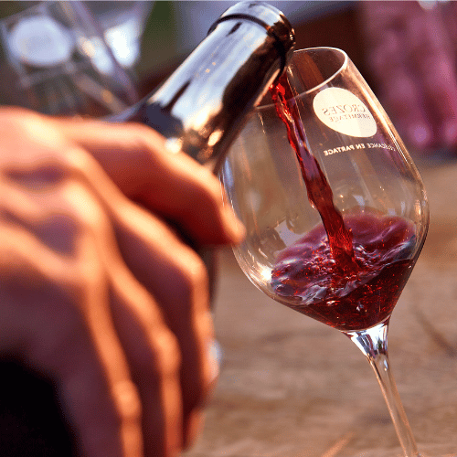 Domaine Vendome | dégustation de Cornas avec l'emblématique syrah