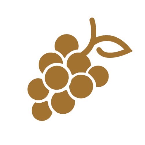 Icône d'une grappe de raisin.