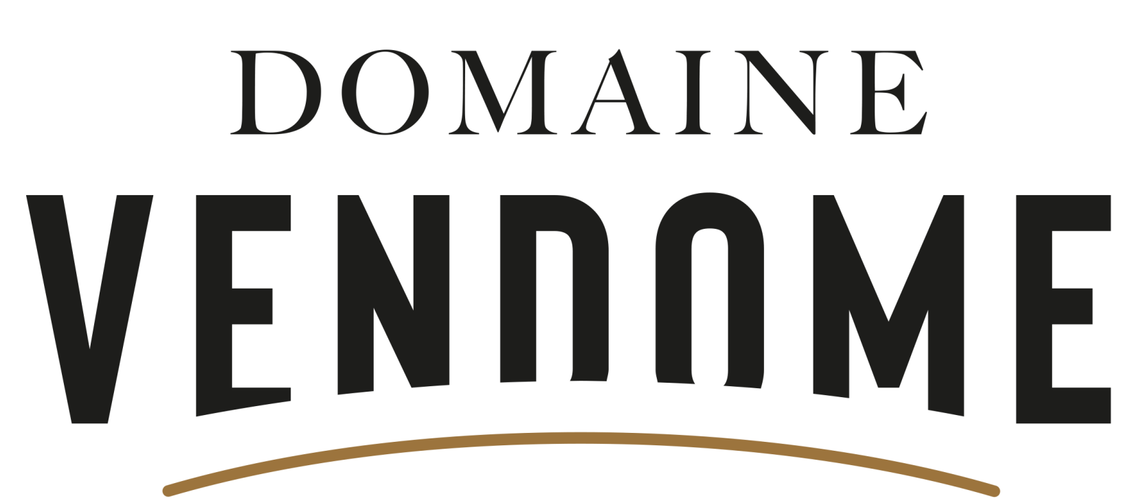 Logo Domaine Vendome grand format