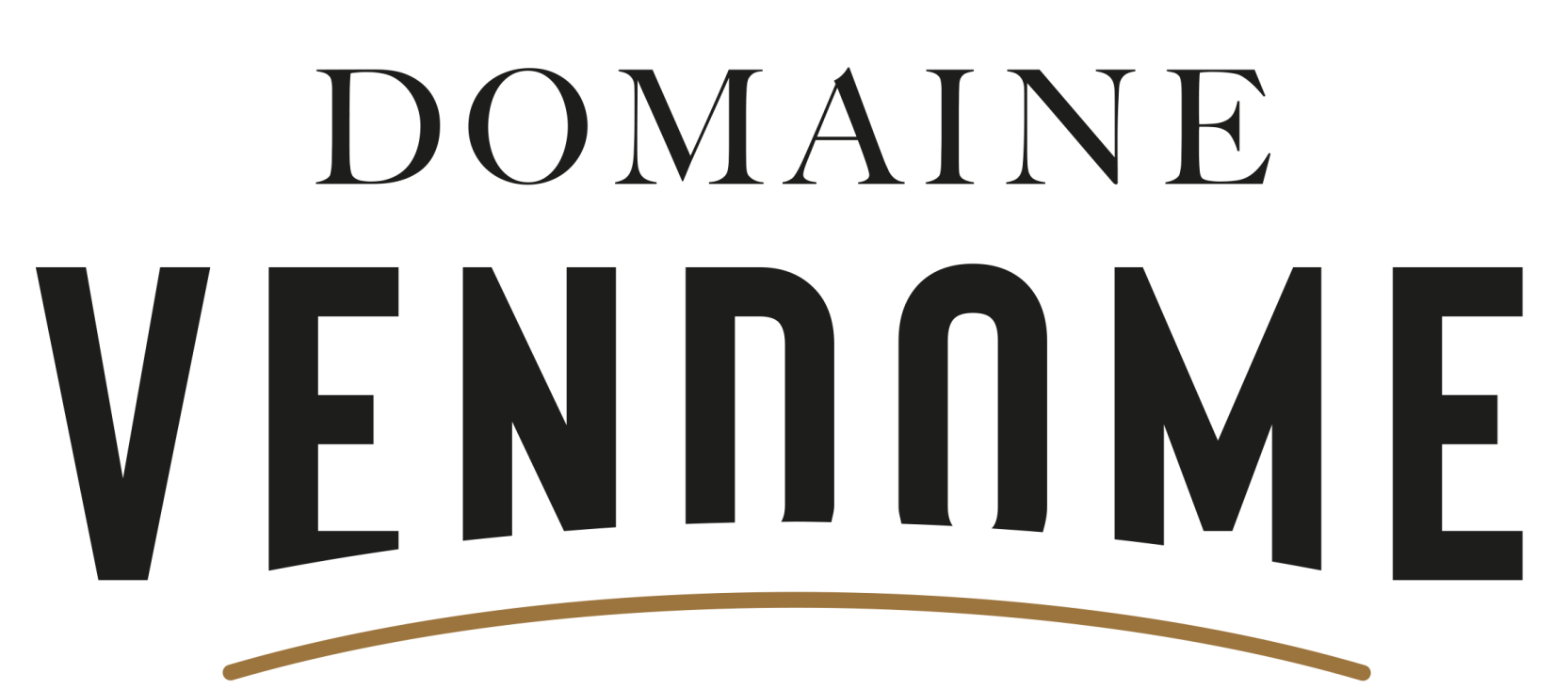 Logo Domaine Vendome grand format